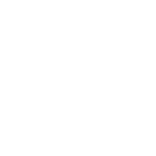 Chicken Wings Icon